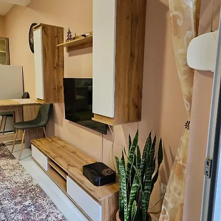 Felis Apartment *